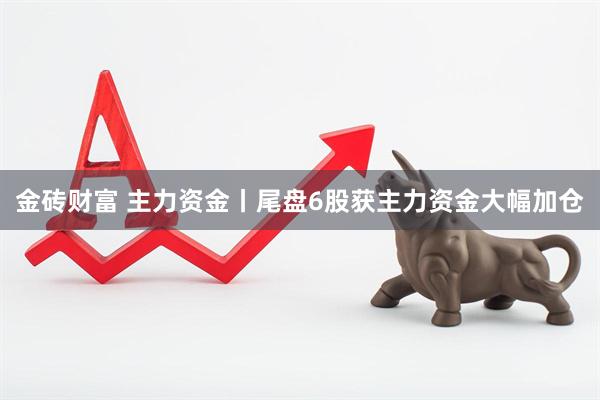 金砖财富 主力资金丨尾盘6股获主力资金大幅加仓
