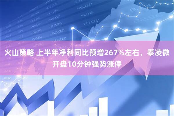 火山策略 上半年净利同比预增267%左右，泰凌微开盘10分钟强势涨停