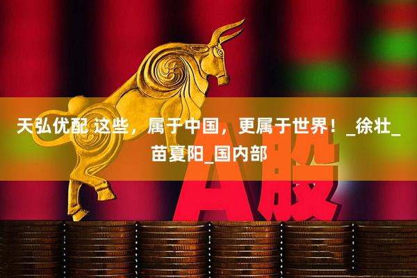 天弘优配 这些，属于中国，更属于世界！_徐壮_苗夏阳_国内部