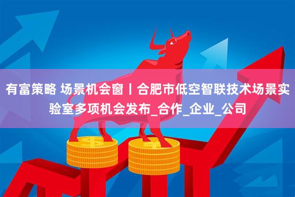 有富策略 场景机会窗丨合肥市低空智联技术场景实验室多项机会发布_合作_企业_公司