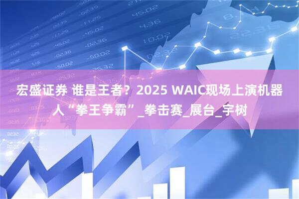 宏盛证券 谁是王者？2025 WAIC现场上演机器人“拳王争霸”_拳击赛_展台_宇树